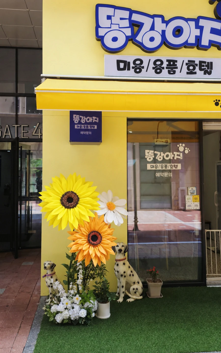 Bucheon Ttangkangaji Cafe Sunflower Photo Zone